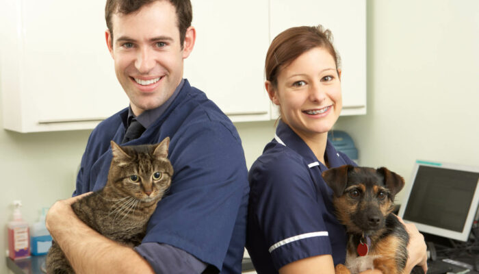 Pet Insurance Policies For Pre-Existing Conditions