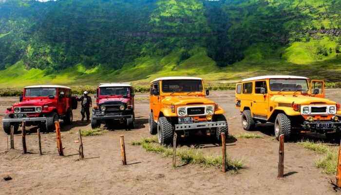 Top 4 Jeeps for Sale