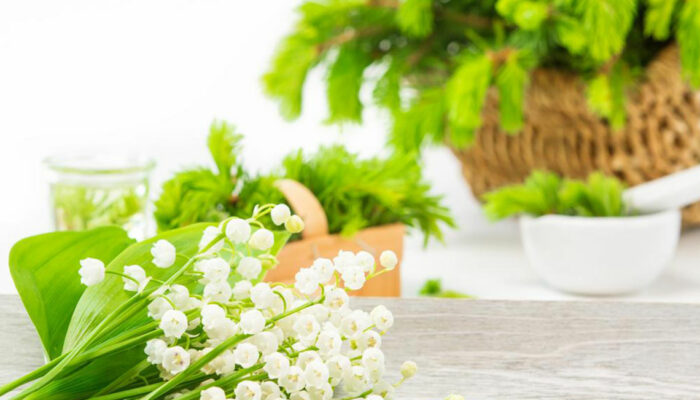 6 Natural Ways to Treat an Enlarged Prostate