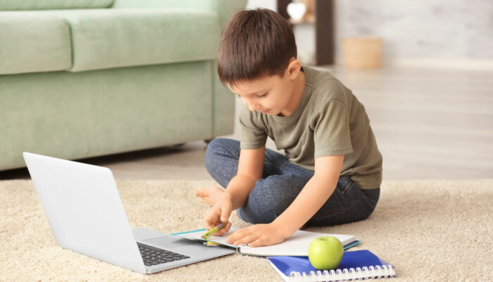 Advantages And Disadvantages Of Online School Education For All