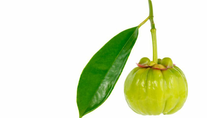 Garcinia – A simple fruit with numerous health benefits