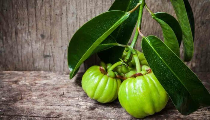 Garcinia – Its Proposed Benefits and Side Effects