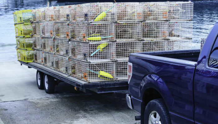 How to buy a dump trailer