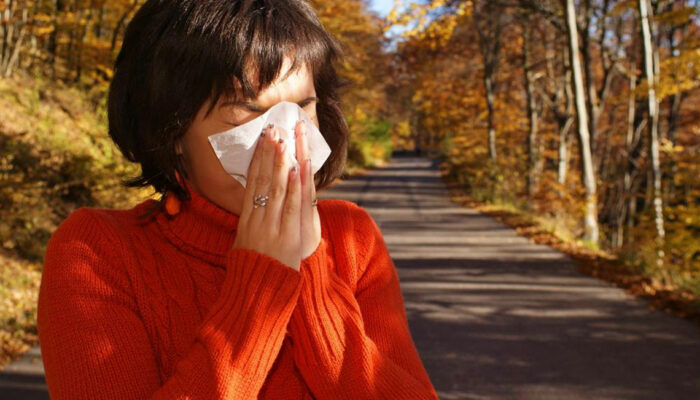 Mold allergy – Causes, Symptoms and Treatment