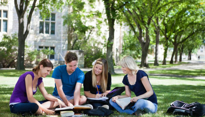 Popular online degrees that you can study from accredited colleges
