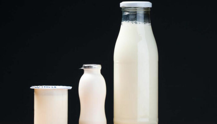 Probiotics – What you need to know about them