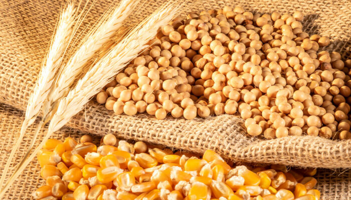 Rheumatoid arthritis – Foods to avoid