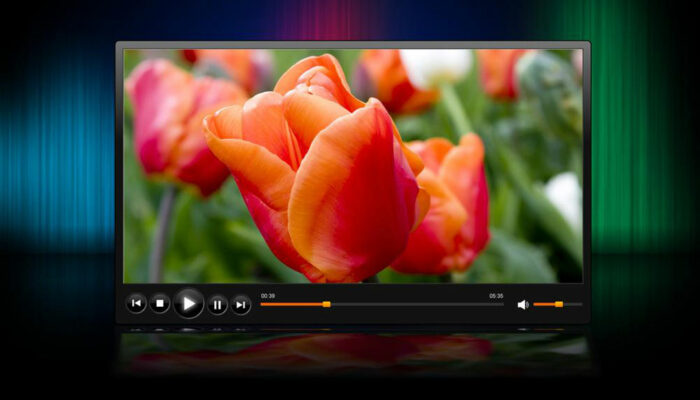Roku Media Player – A closer insight