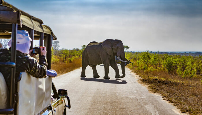 Selecting the Right Travel Package for Africa
