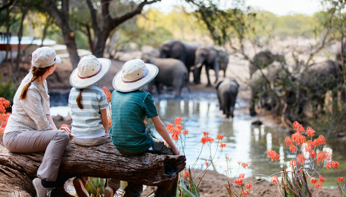 Top 11 Luxury African Safari Lodges