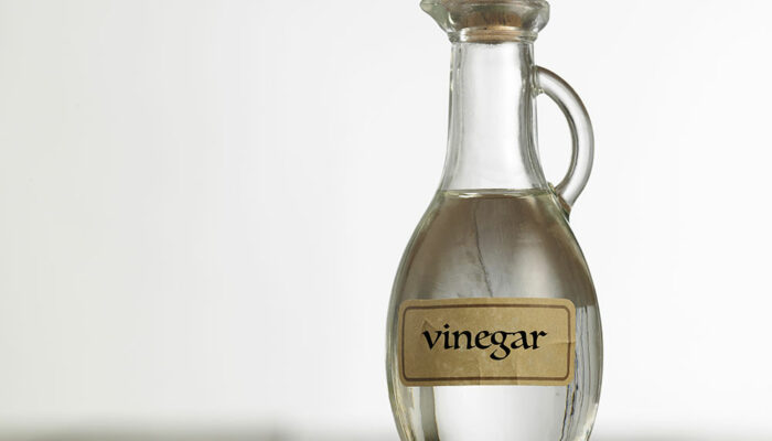 White Vinegar for Ant Control – How It Works and Ways to Use