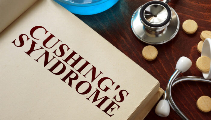 Cushing’s Disease in Dogs – Symptoms, Diagnosis, and Management