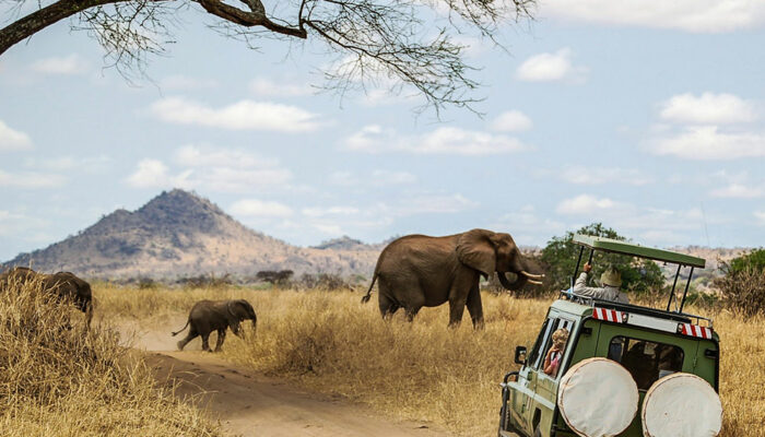 African Safari Packages for Seniors