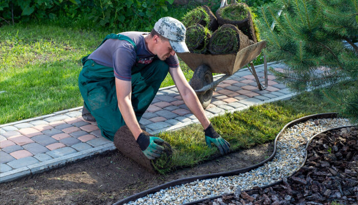 Landscaping Services – Types, Benefits, and Tips to Consider
