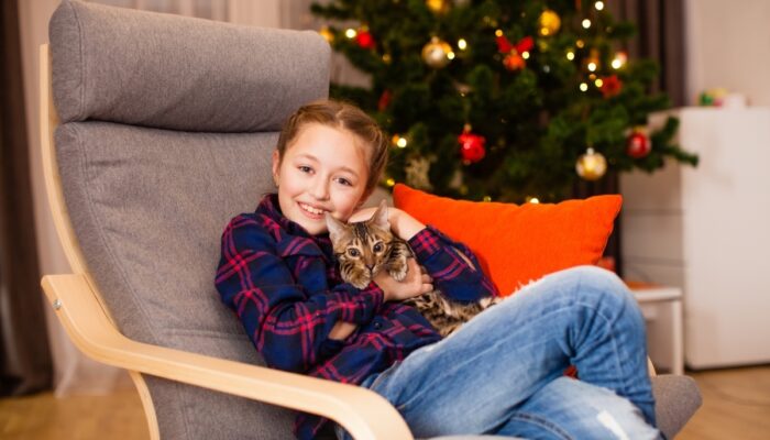 Finding a Feline Friend: A Guide to Free Cats For Adoption