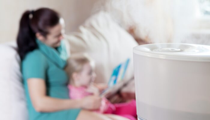Black Friday 2024 Air Purifier Deals: Clean Air at Unbeatable Prices