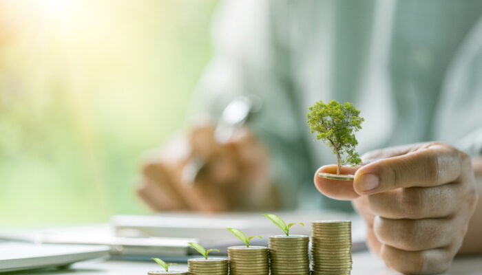 5 Promising Business Investment Opportunities